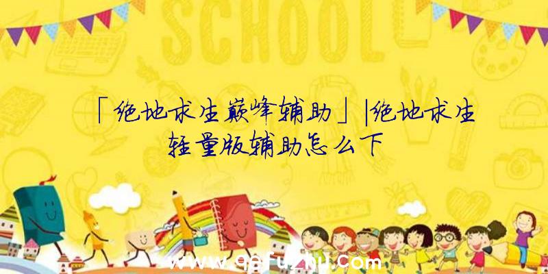 「绝地求生巅峰辅助」|绝地求生轻量版辅助怎么下
